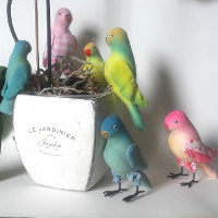 Perruches en tissu � coudre